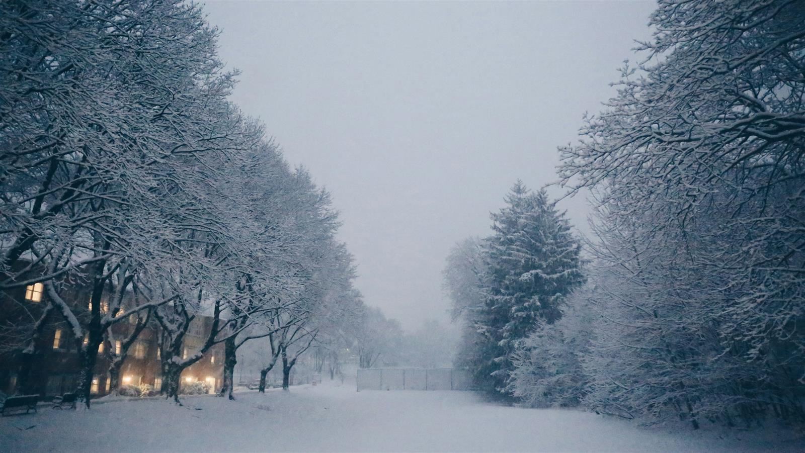  snowy landscape